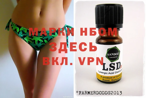 крисы Абаза