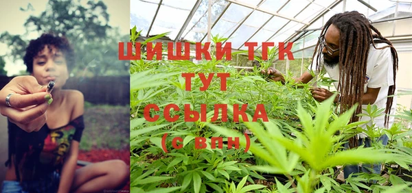 крисы Абаза