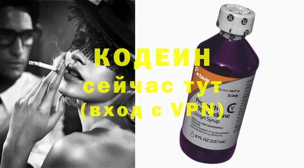 крисы Абаза