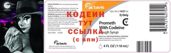 крисы Абаза