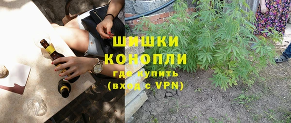 крисы Абаза