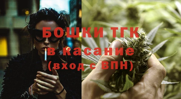 крисы Абаза