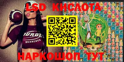 дмт Донской