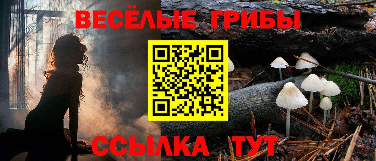 Галлюциногенные грибы мицелий  Галлюциногенные грибы прущие грибы  Норильск  Вход с VPN 
